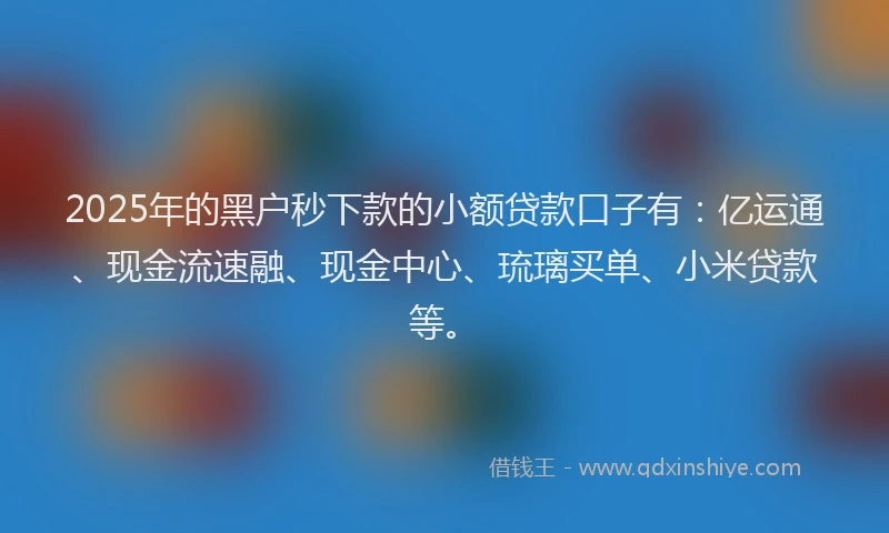 2025年的黑户秒下款的小额贷款口子有：亿运通、现金流速融、现金中心、琉璃买单、小米贷款等。