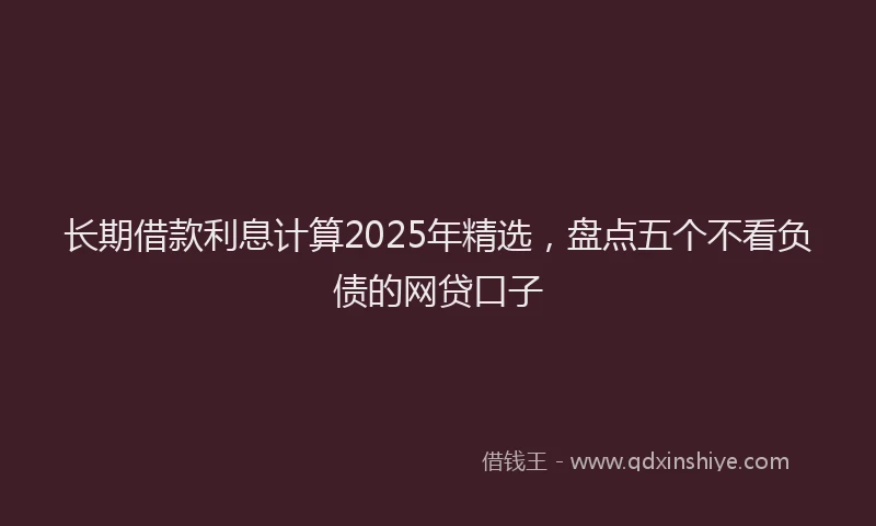 长期借款利息计算2025年精选，盘点五个不看负债的网贷口子