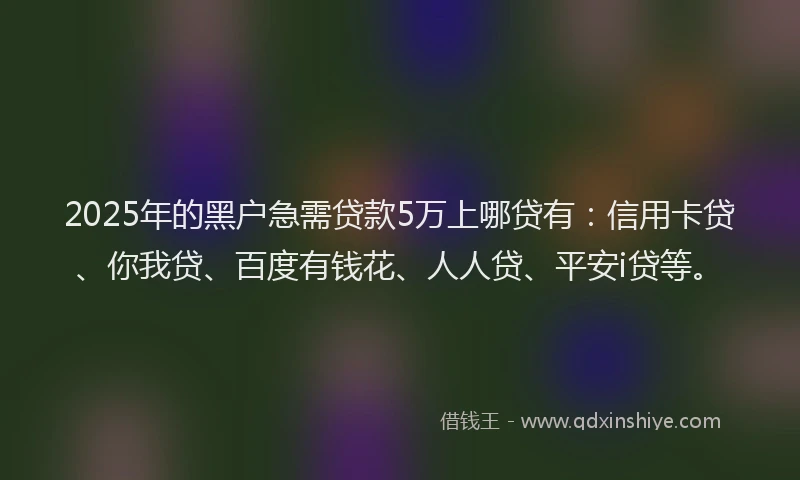 2025年的黑户急需贷款5万上哪贷有：信用卡贷、你我贷、百度有钱花、人人贷、平安i贷等。