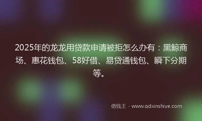 2025年的龙龙用贷款申请被拒怎么办有:黑鲸商场、惠花钱包、58好借、易贷通钱包、瞬下分期等。