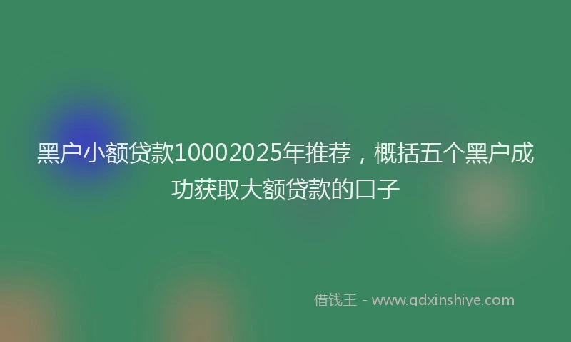 黑户小额贷款10002025年推荐，概括五个黑户成功获取大额贷款的口子
