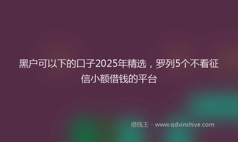 黑户可以下的口子2025年精选，罗列5个不看征信小额借钱的平台