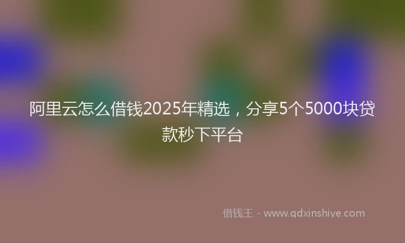 阿里云怎么借钱2025年精选，分享5个5000块贷款秒下平台