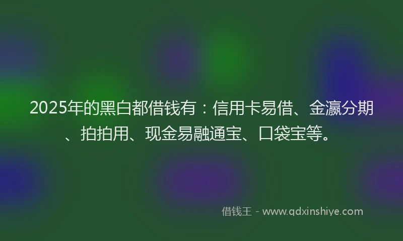2025年的黑白都借钱有：信用卡易借、金瀛分期、拍拍用、现金易融通宝、口袋宝等。