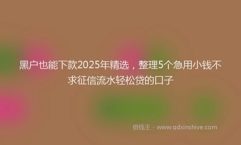 黑户也能下款2025年精选，整理5个急用小钱不求征信流水轻松贷的口子