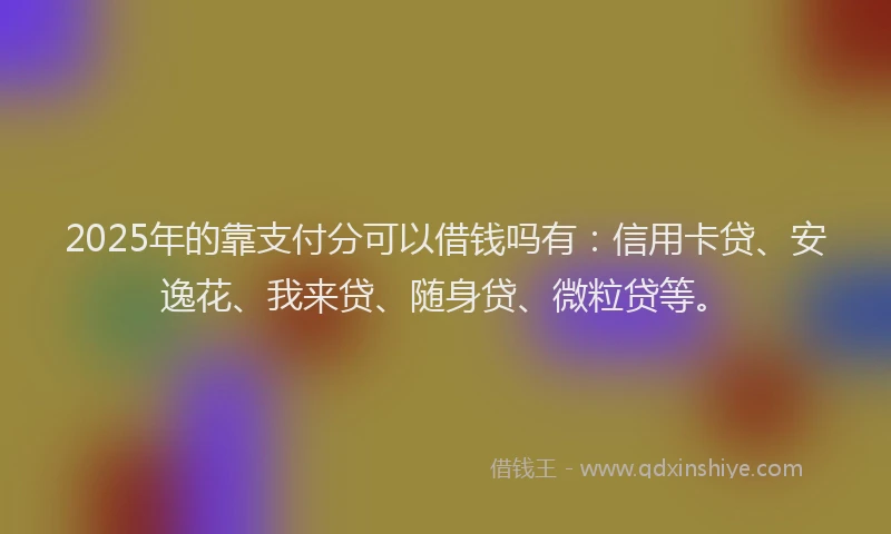 2025年的靠支付分可以借钱吗有：信用卡贷、安逸花、我来贷、随身贷、微粒贷等。