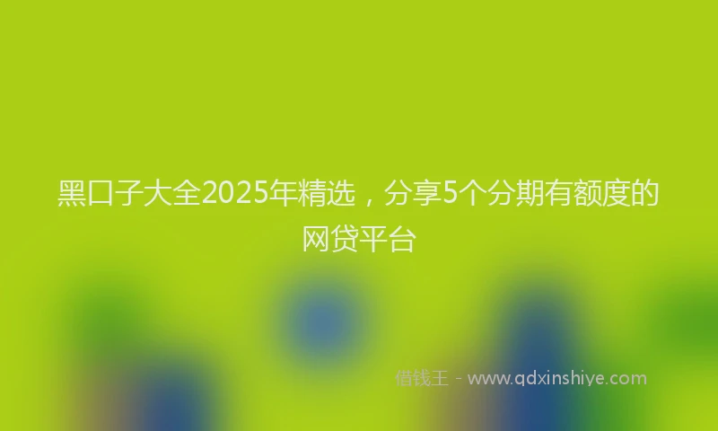 黑口子大全2025年精选，分享5个分期有额度的网贷平台