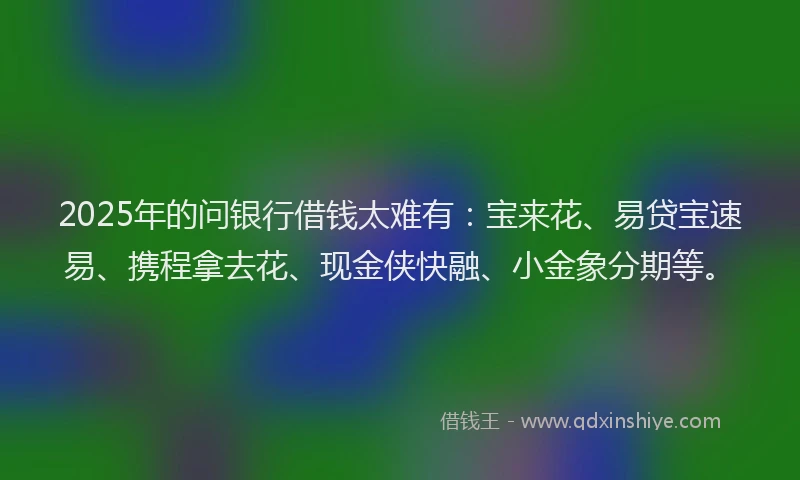 2025年的问银行借钱太难有：宝来花、易贷宝速易、携程拿去花、现金侠快融、小金象分期等。