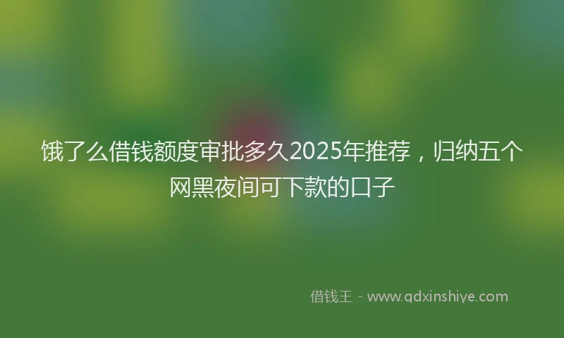 饿了么借钱额度审批多久2025年推荐，归纳五个网黑夜间可下款的口子