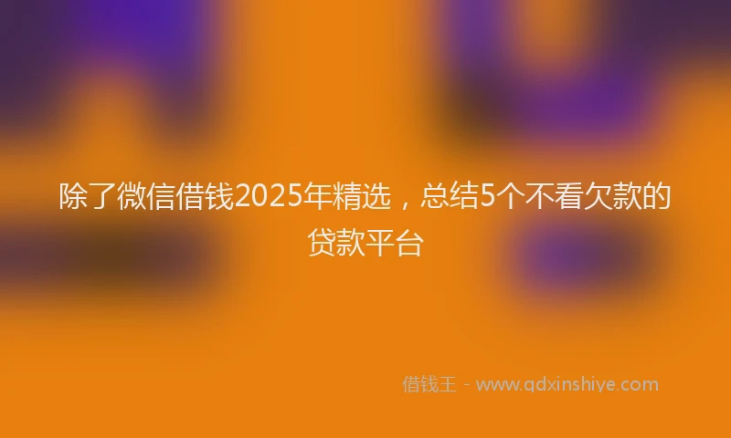 除了微信借钱2025年精选，总结5个不看欠款的贷款平台