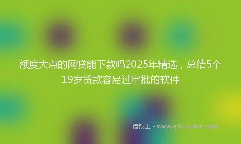 额度大点的网贷能下款吗2025年精选，总结5个19岁贷款容易过审批的软件