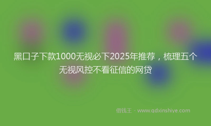 黑口子下款1000无视必下2025年推荐，梳理五个无视风控不看征信的网贷