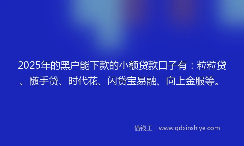 2025年的黑户能下款的小额贷款口子有：粒粒贷、随手贷、时代花、闪贷宝易融、向上金服等。