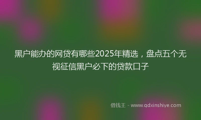 黑户能办的网贷有哪些2025年精选，盘点五个无视征信黑户必下的贷款口子