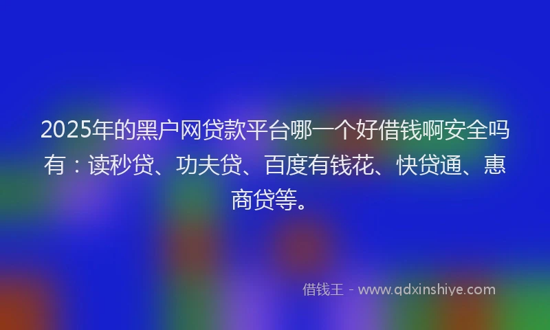 2025年的黑户网贷款平台哪一个好借钱啊安全吗有：读秒贷、功夫贷、百度有钱花、快贷通、惠商贷等。