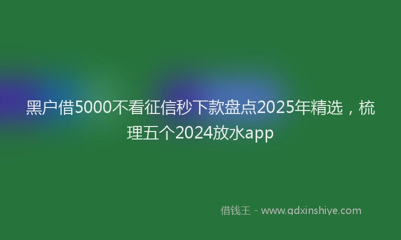 黑户借5000不看征信秒下款盘点2025年精选，梳理五个2024放水app