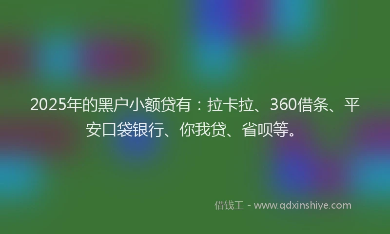 2025年的黑户小额贷有：拉卡拉、360借条、平安口袋银行、你我贷、省呗等。