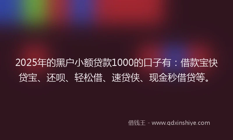 2025年的黑户小额贷款1000的口子有：借款宝快贷宝、还呗、轻松借、速贷侠、现金秒借贷等。
