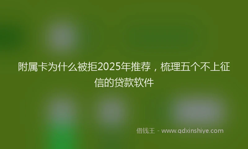 附属卡为什么被拒2025年推荐，梳理五个不上征信的贷款软件