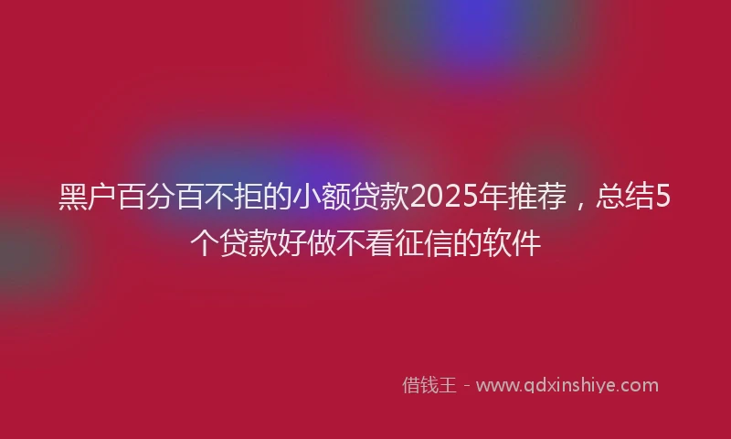 黑户百分百不拒的小额贷款2025年推荐,总结5个贷款好做不看征信的软件