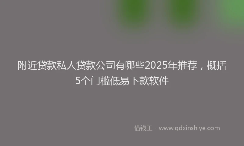 附近贷款私人贷款公司有哪些2025年推荐，概括5个门槛低易下款软件