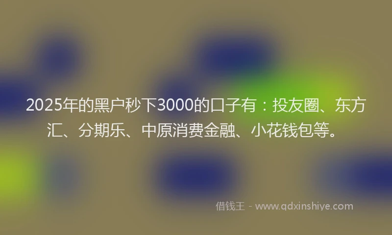 2025年的黑户秒下3000的口子有：投友圈、东方汇、分期乐、中原消费金融、小花钱包等。