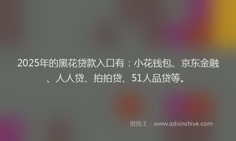 2025年的黑花贷款入口有:小花钱包、京东金融、人人贷、拍拍贷、51人品贷等。