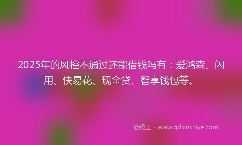 2025年的风控不通过还能借钱吗有:爱鸿森、闪用、快易花、现金贷、智享钱包等。