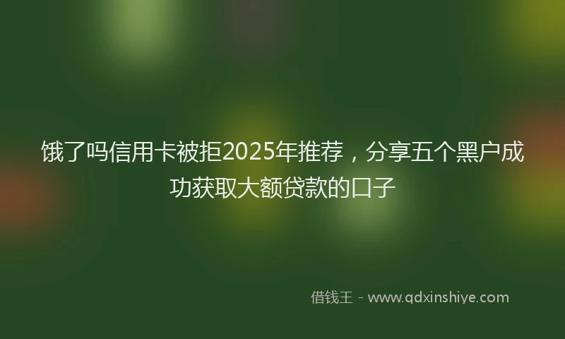 饿了吗信用卡被拒2025年推荐，分享五个黑户成功获取大额贷款的口子