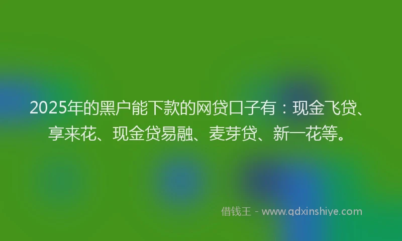 2025年的黑户能下款的网贷口子有：现金飞贷、享来花、现金贷易融、麦芽贷、新一花等。