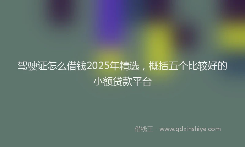 驾驶证怎么借钱2025年精选，概括五个比较好的小额贷款平台