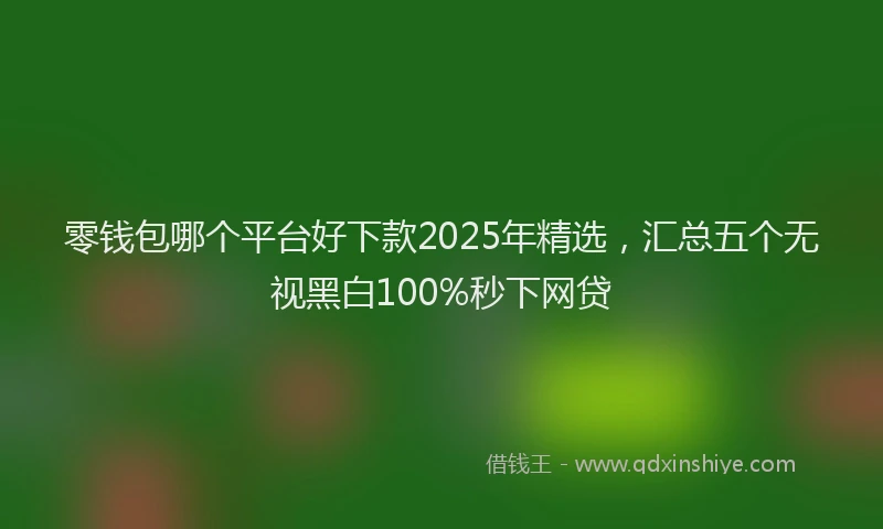 零钱包哪个平台好下款2025年精选，汇总五个无视黑白100%秒下网贷