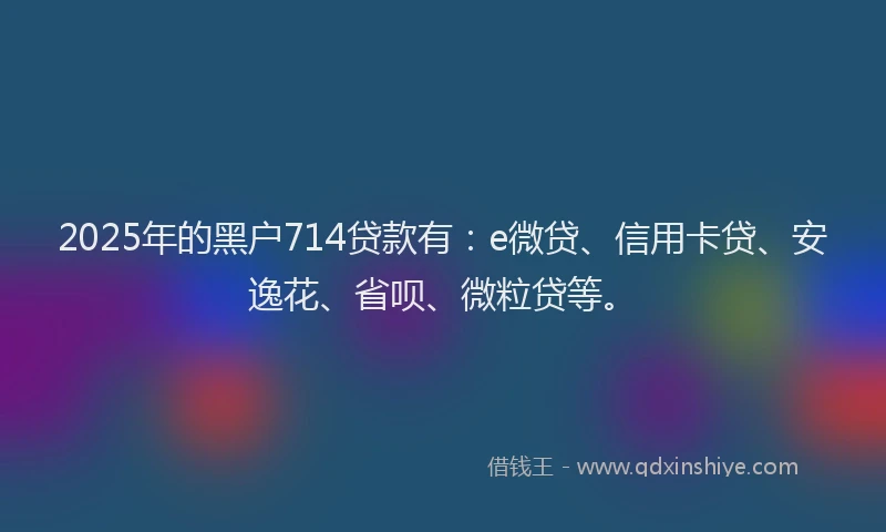2025年的黑户714贷款有：e微贷、信用卡贷、安逸花、省呗、微粒贷等。