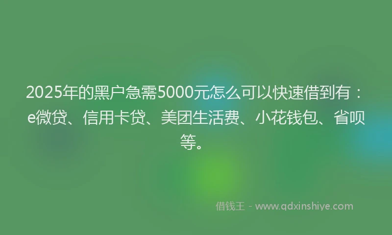 2025年的黑户急需5000元怎么可以快速借到有：e微贷、信用卡贷、美团生活费、小花钱包、省呗等。