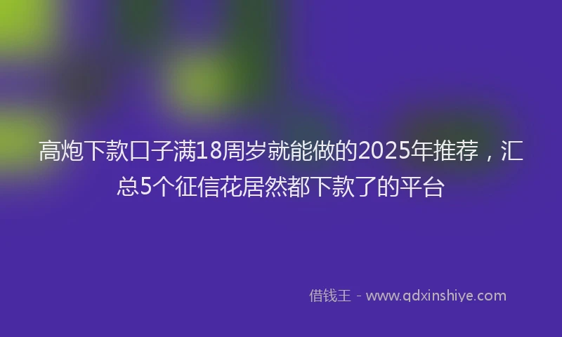 高炮下款口子满18周岁就能做的2025年推荐，汇总5个征信花居然都下款了的平台