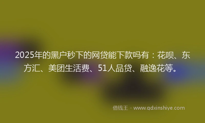 2025年的黑户秒下的网贷能下款吗有:花呗、东方汇、美团生活费、51人品贷、融逸花等。