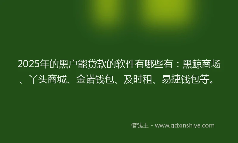 2025年的黑户能贷款的软件有哪些有：黑鲸商场、丫头商城、金诺钱包、及时租、易捷钱包等。