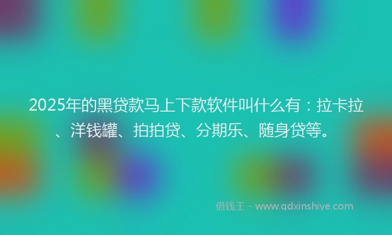 2025年的黑贷款马上下款软件叫什么有：拉卡拉、洋钱罐、拍拍贷、分期乐、随身贷等。