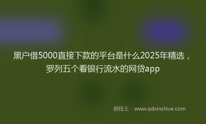黑户借5000直接下款的平台是什么2025年精选，罗列五个看银行流水的网贷app