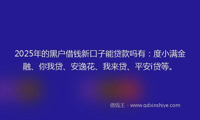 2025年的黑户借钱新口子能贷款吗有：度小满金融、你我贷、安逸花、我来贷、平安i贷等。