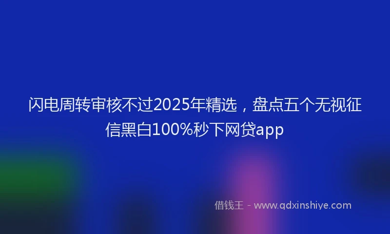 闪电周转审核不过2025年精选，盘点五个无视征信黑白100%秒下网贷app