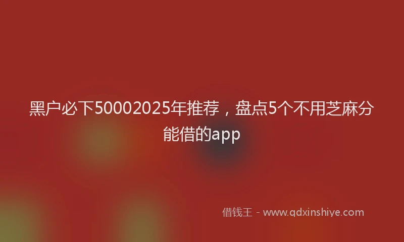 黑户必下50002025年推荐，盘点5个不用芝麻分能借的app