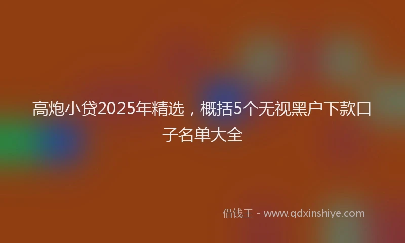 高炮小贷2025年精选，概括5个无视黑户下款口子名单大全