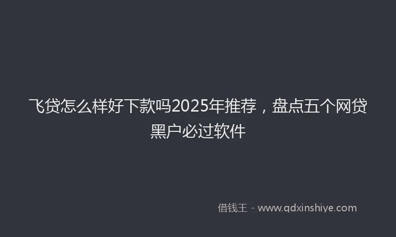 飞贷怎么样好下款吗2025年推荐，盘点五个网贷黑户必过软件