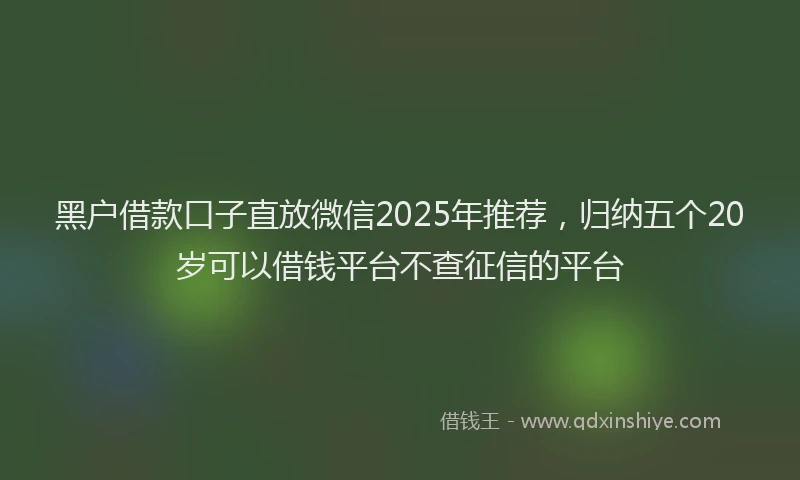 黑户借款口子直放微信2025年推荐，归纳五个20岁可以借钱平台不查征信的平台