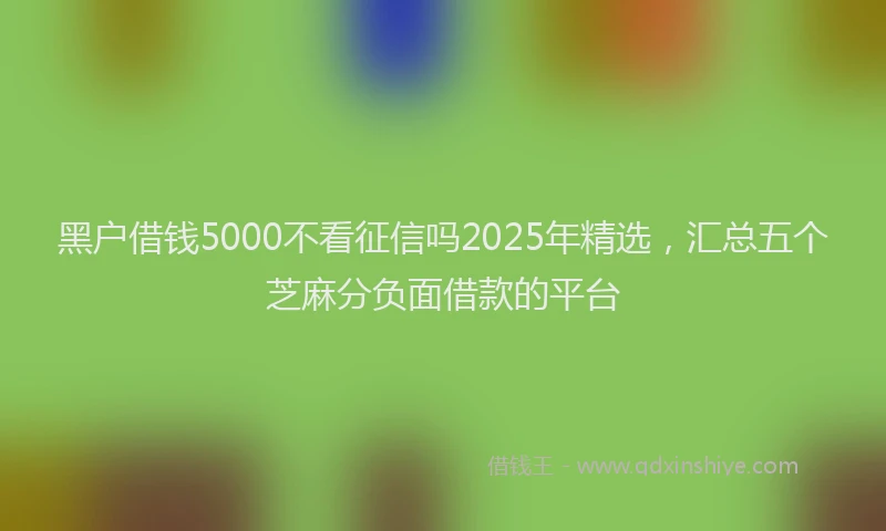 黑户借钱5000不看征信吗2025年精选，汇总五个芝麻分负面借款的平台