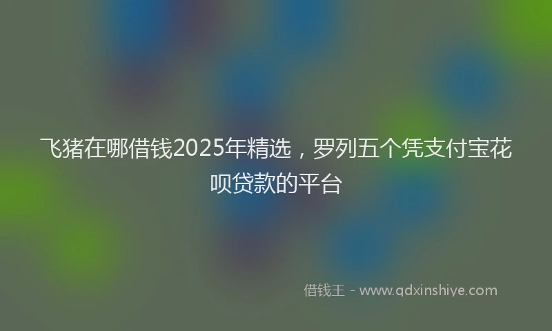 飞猪在哪借钱2025年精选，罗列五个凭支付宝花呗贷款的平台