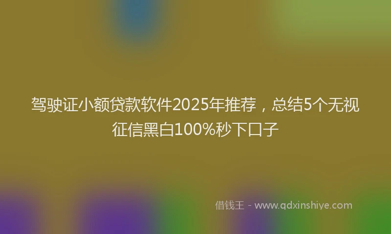 驾驶证小额贷款软件2025年推荐，总结5个无视征信黑白100%秒下口子