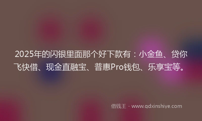 2025年的闪银里面那个好下款有：小金鱼、贷你飞快借、现金直融宝、普惠Pro钱包、乐享宝等。