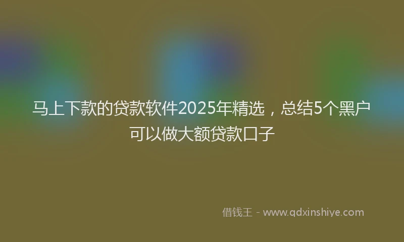 马上下款的贷款软件2025年精选，总结5个黑户可以做大额贷款口子